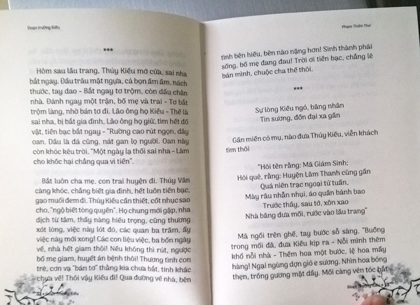 'Kỳ nhân' Phạm Thiên Thư viết lại truyện Kiều thành văn xuôi - ảnh 3