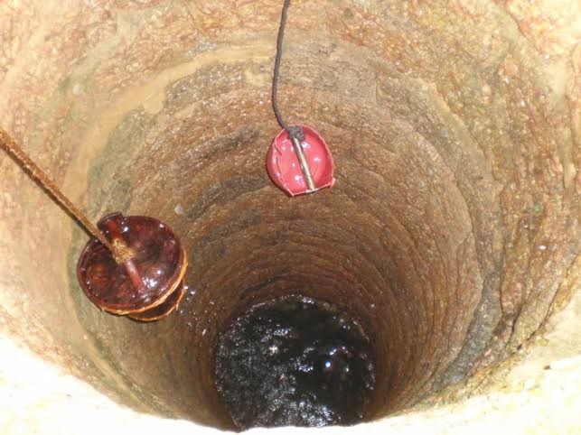 Hàng vạn người về dự lễ hội Đống Đa - Tây Sơn - ảnh 6