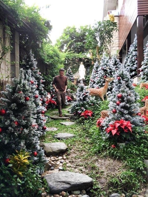Đàm Vĩnh Hưng tung ảnh nhà ngổn ngang, nói lí do hủy Noel - ảnh 11