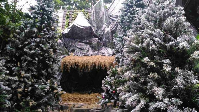 Đàm Vĩnh Hưng tung ảnh nhà ngổn ngang, nói lí do hủy Noel - ảnh 3
