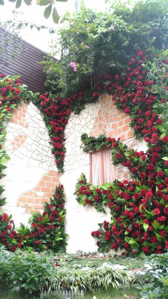 Đàm Vĩnh Hưng tung ảnh nhà ngổn ngang, nói lí do hủy Noel - ảnh 4
