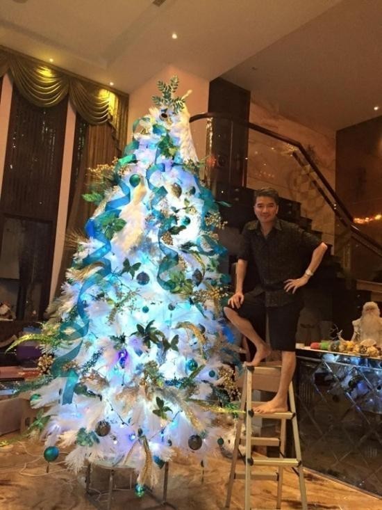 Đàm Vĩnh Hưng tung ảnh nhà ngổn ngang, nói lí do hủy Noel - ảnh 9
