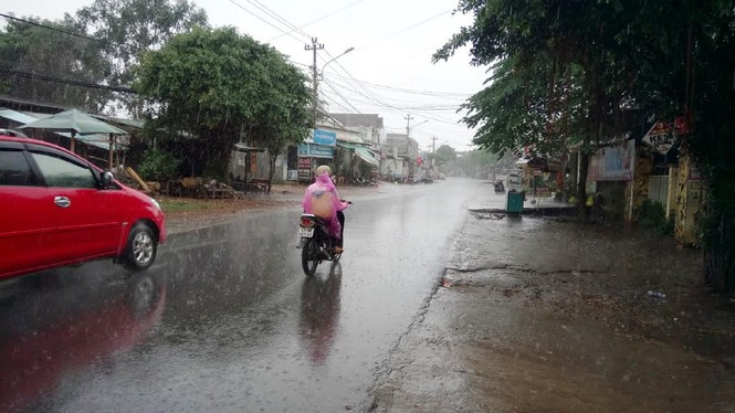 Mưa giông bất thường giữa mùa khô ở Đắk Lắk - ảnh 2