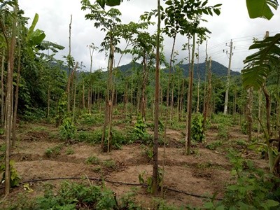Nông nghiệp sạch,Agribank - ảnh 4