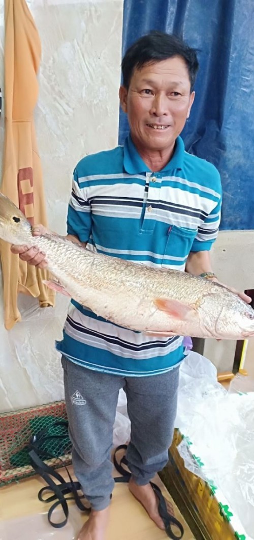 Con cá 'lạ' ở Quảng Ngãi, trả 150 triệu đồng chưa bán - ảnh 1