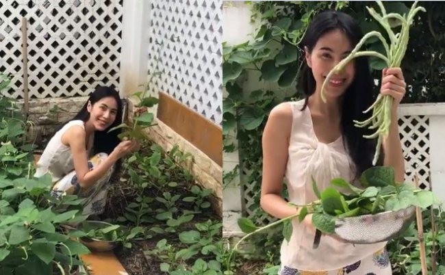 Lý do Công Vinh muốn cưới thêm vợ khiến fan phì cười - ảnh 4