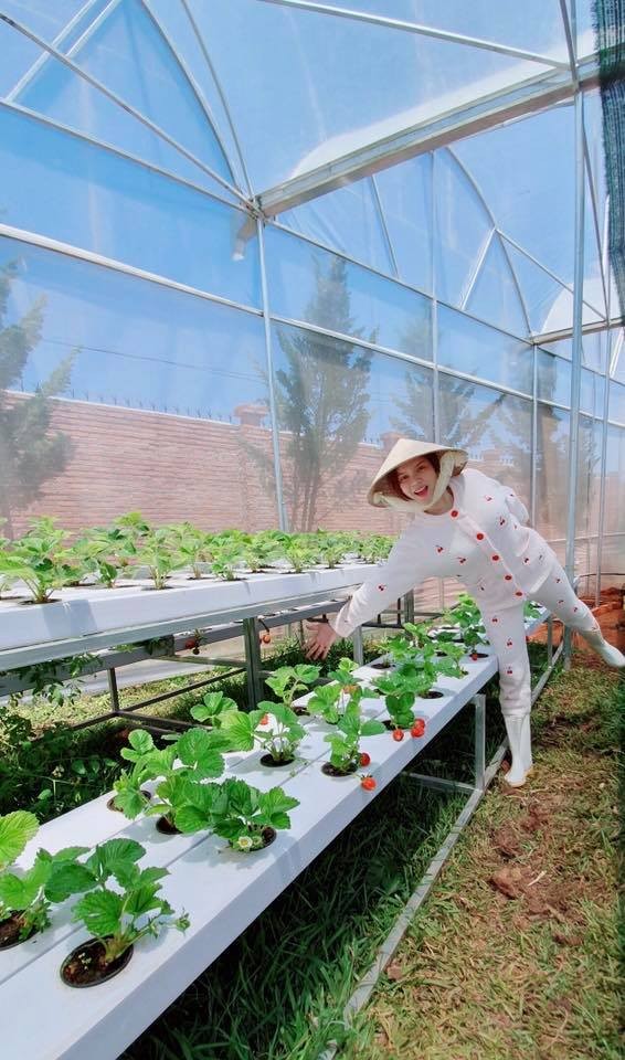Lý Nhã Kỳ khoe vườn dâu tây, rau sạch ở Đà Lạt khiến fan ngây ngất - ảnh 7