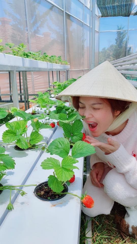 Lý Nhã Kỳ khoe vườn dâu tây, rau sạch ở Đà Lạt khiến fan ngây ngất - ảnh 3