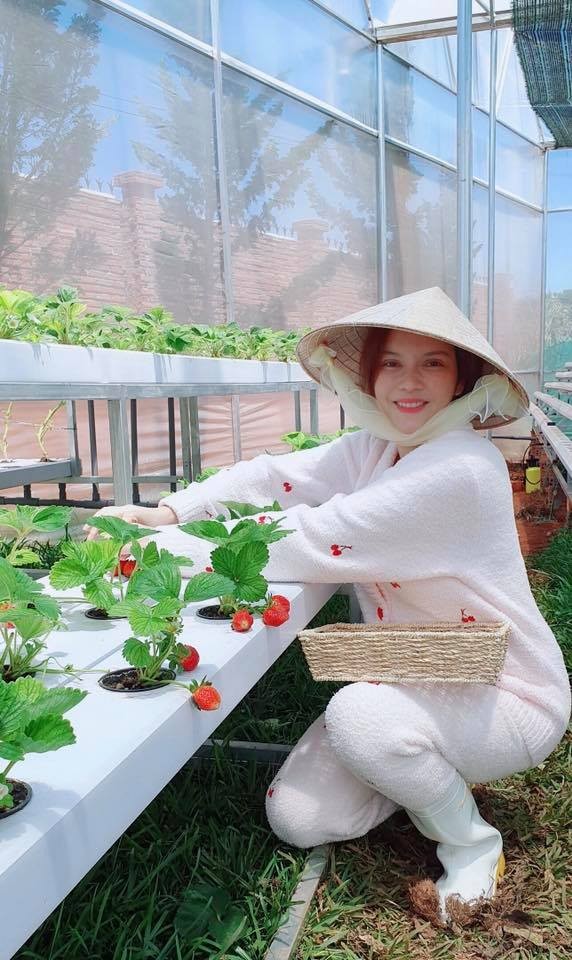Lý Nhã Kỳ khoe vườn dâu tây, rau sạch ở Đà Lạt khiến fan ngây ngất - ảnh 1