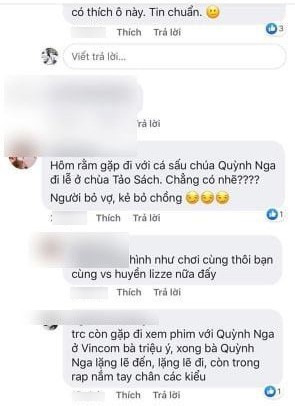 Rộ tin đồn ‘cá sấu chúa’ Quỳnh Nga là người thứ 3 khiến Việt Anh ly hôn - ảnh 3