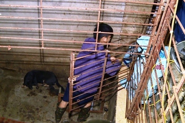 Chiếc hầm bí mật trong đường dây trộm hơn 100 tấn chó ở Thanh Hóa - ảnh 3