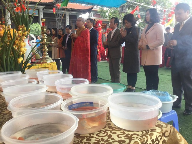 thả cá chép tiễn ông Công, ông Táo - ảnh 1