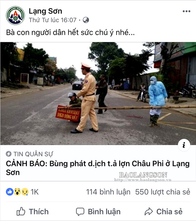 dịch tả châu phi - ảnh 1
