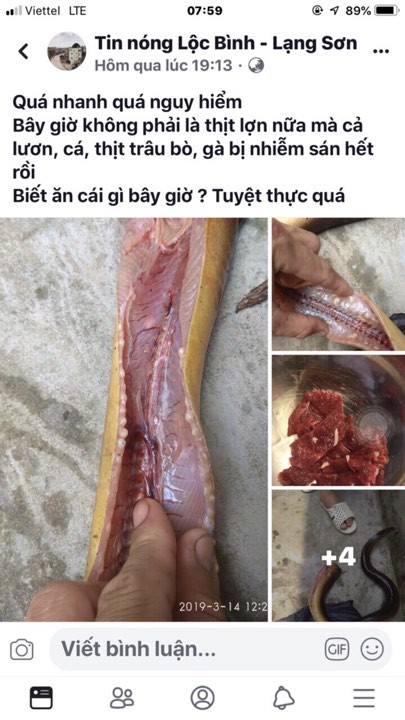 thông tin không đúng sự thật - ảnh 1