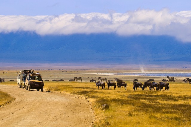 Ngộp thở trước vẻ đẹp hoang dã ở miệng núi lửa Ngorongoro - ảnh 2