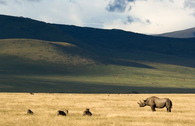 Ngộp thở trước vẻ đẹp hoang dã ở miệng núi lửa Ngorongoro - ảnh 8