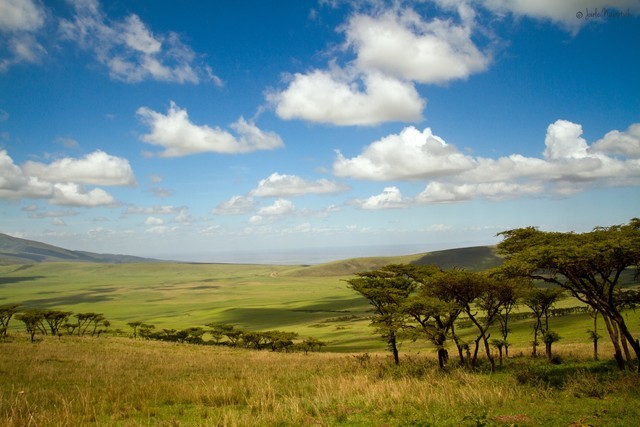Ngộp thở trước vẻ đẹp hoang dã ở miệng núi lửa Ngorongoro - ảnh 1