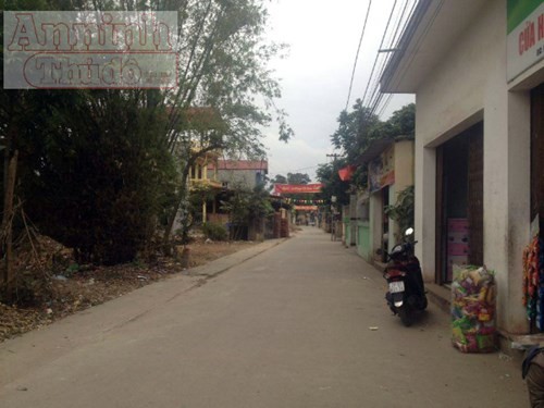 Thấy
