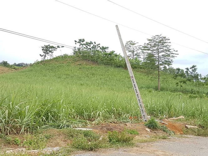 điện giật chết 4 người tại Nghệ An - ảnh 2