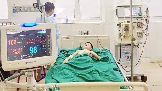 Bé 11 tuổi bị tổ ong vò vẽ đốt đến nguy kịch - ảnh 1