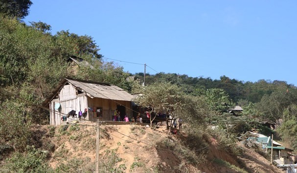 Nam thanh niên tử vong nghi do ăn lá ngón - ảnh 1
