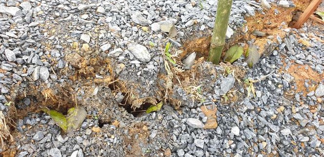 Sạt lở đường nghiêm trọng, hàng vạn dân nguy cơ bị chia cắt giao thông - ảnh 4 Sạt lở đường nghiêm trọng, hàng vạn dân nguy cơ bị chia cắt giao thông - ảnh 4
