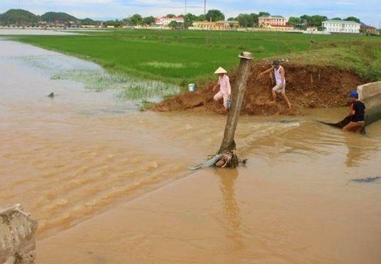 Vỡ kênh mương khiến hàng trăm hộ dân Nghệ An bị ngập sâu - ảnh 1