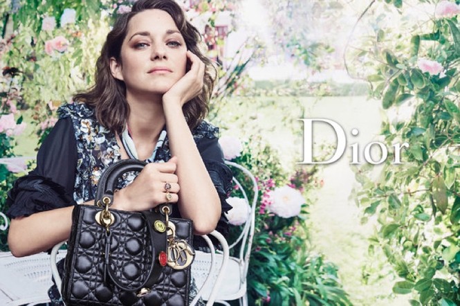 người mẫu,quyến rũ,quảng cáo,bộ ảnh,túi xách,nhiếp ảnh gia,Christian Dior,Craig McDean, Marion Cotillard - ảnh 3