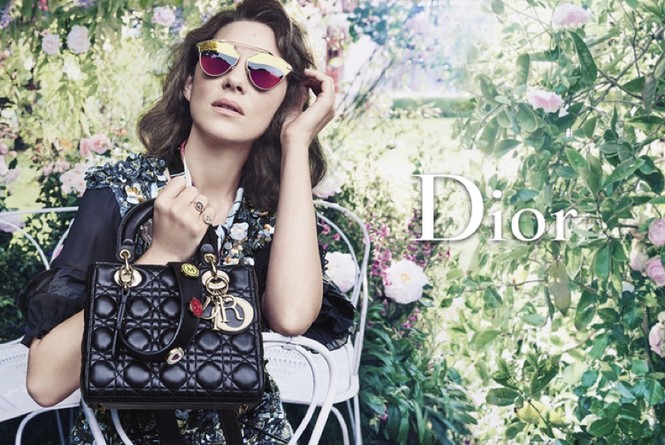 người mẫu,quyến rũ,quảng cáo,bộ ảnh,túi xách,nhiếp ảnh gia,Christian Dior,Craig McDean, Marion Cotillard - ảnh 4