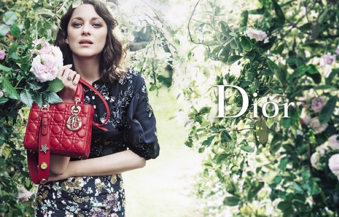 người mẫu,quyến rũ,quảng cáo,bộ ảnh,túi xách,nhiếp ảnh gia,Christian Dior,Craig McDean, Marion Cotillard - ảnh 2