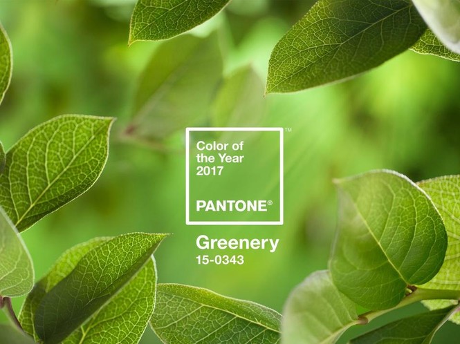 Greenery - ảnh 1
