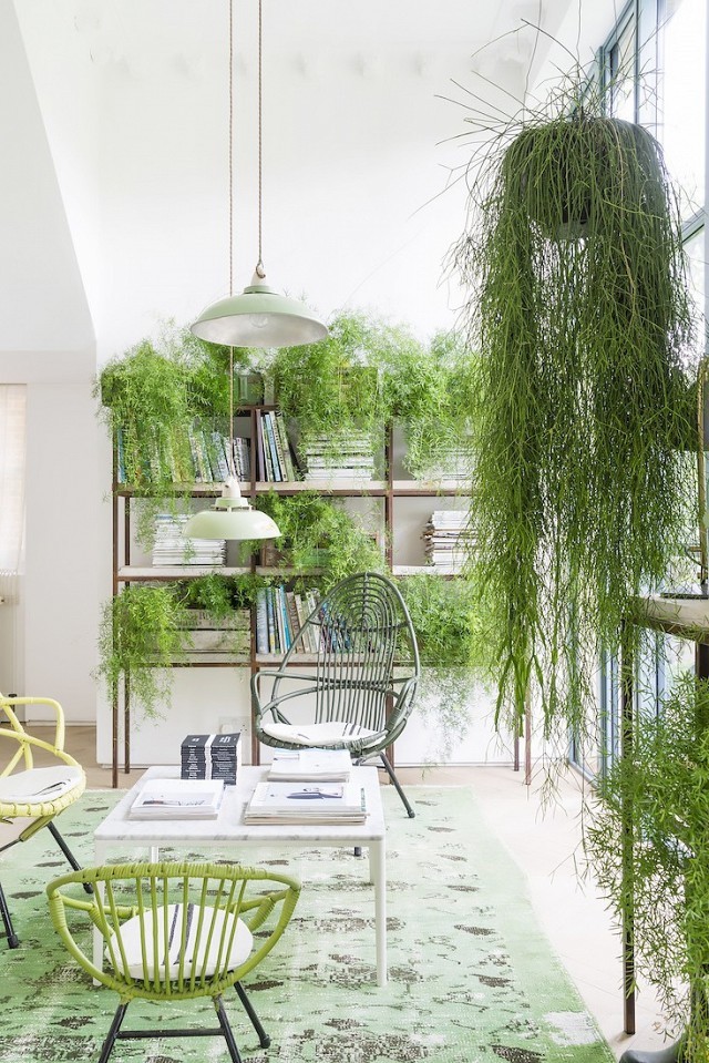 Greenery - ảnh 4