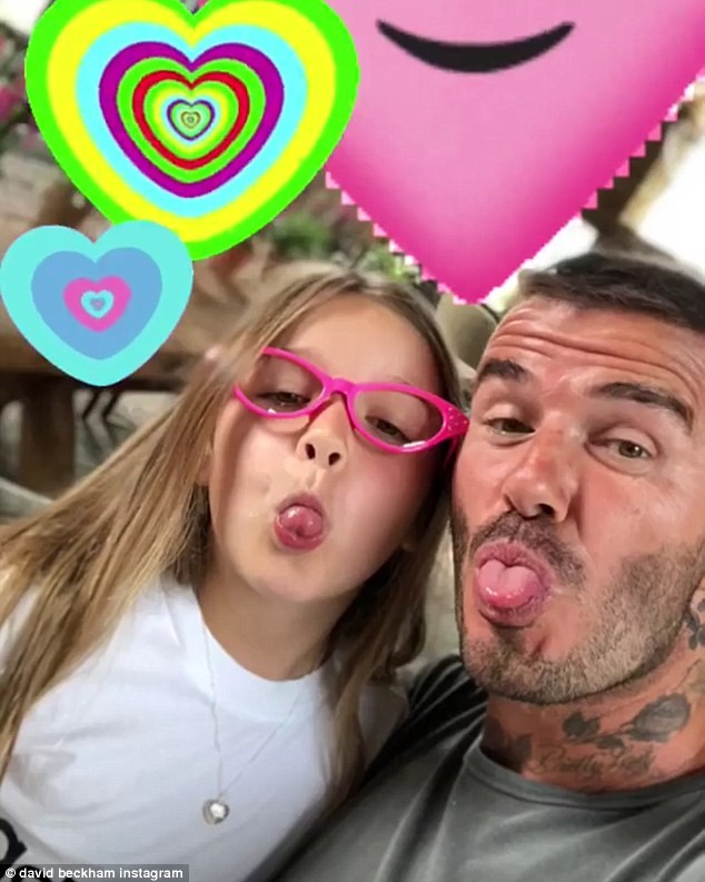 sinh nhật Harper Beckham 7 tuổi - ảnh 2
