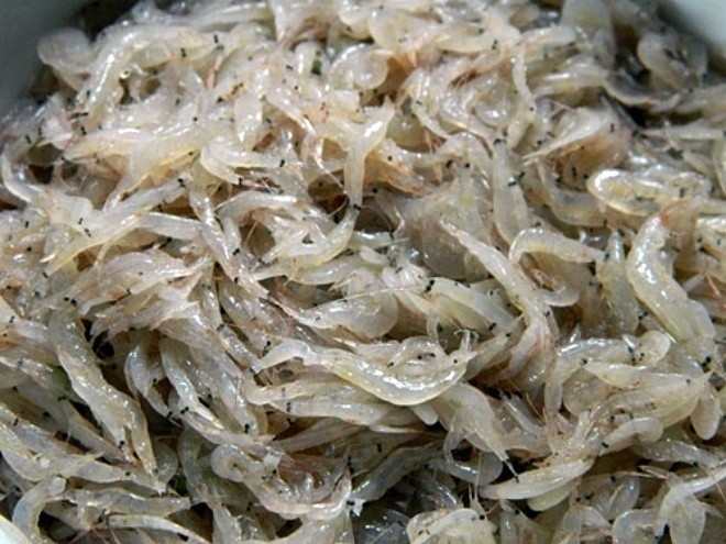 Đo lượng canxi trong tôm cua ốc - ảnh 7