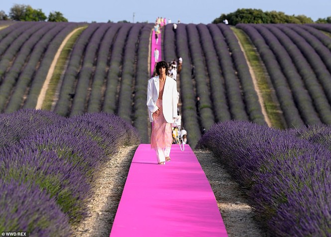 Emily Ratajkowski gợi cảm hút mắt giữa cánh đồng oải hương - ảnh 7