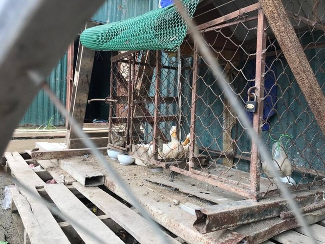 mễ trì, lều lán công nhân, cháy nổ, pccc, làng công nhân sống chui - ảnh 7