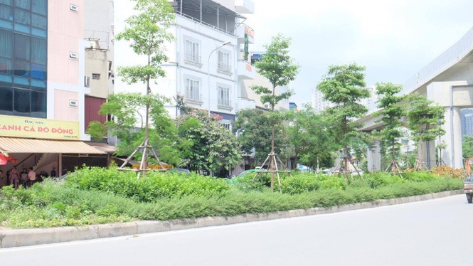 cây xanh, cắt cỏ. hà nội, vườn hoang - ảnh 9