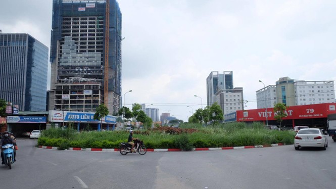cây xanh, cắt cỏ. hà nội, vườn hoang - ảnh 3
