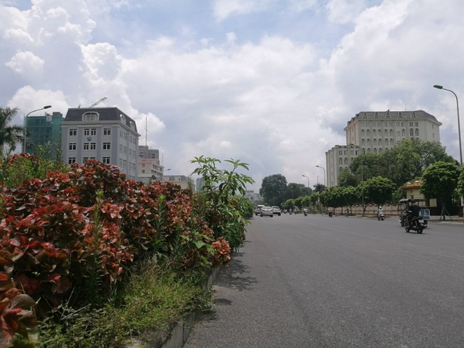 cây xanh, cắt cỏ. hà nội, vườn hoang - ảnh 1