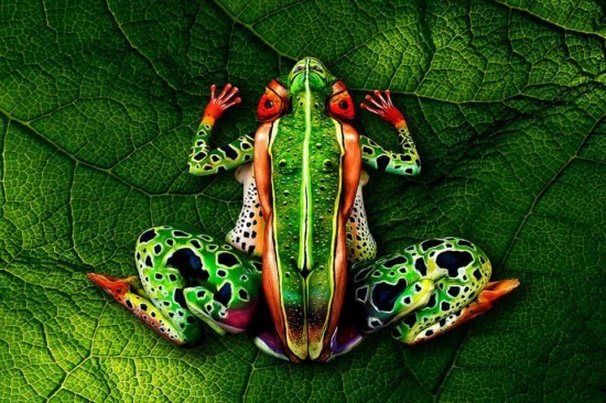 Bodypainting biến cô gái thành…con vẹt - ảnh 2