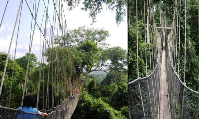 Những cây cầu khiến bạn 'đứng tim' - ảnh 2
