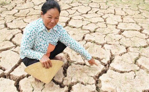 Nước xả đập thượng nguồn sông Mekong về tới miền Tây - ảnh 1