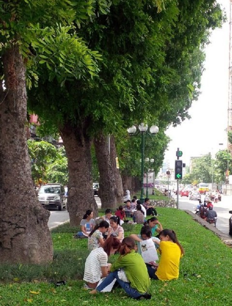 Lương thấp, vào công chức vẫn như 'miền đất hứa' - ảnh 1