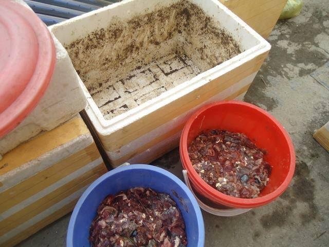 Lạ Hà Nội: Tích rác, ủ phân trong nhà để được ăn sạch - ảnh 1