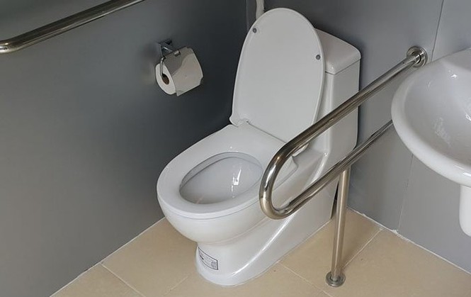 1.000 nhà vệ sinh công cộng siêu sạch của HN trông ra sao? - ảnh 4