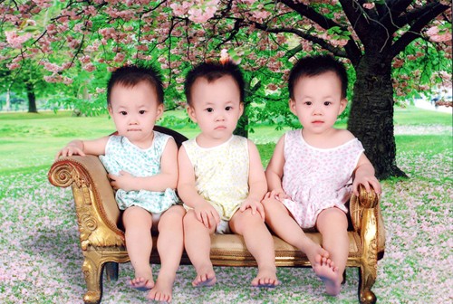 Gia đình Hà Nội có 3 bé gái sinh ba đến bố cũng hay nhầm - ảnh 1