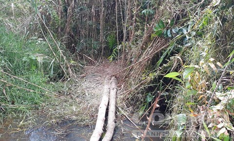 Lời khai của nghi can giết, giấu xác nữ sinh 13 tuổi - ảnh 1