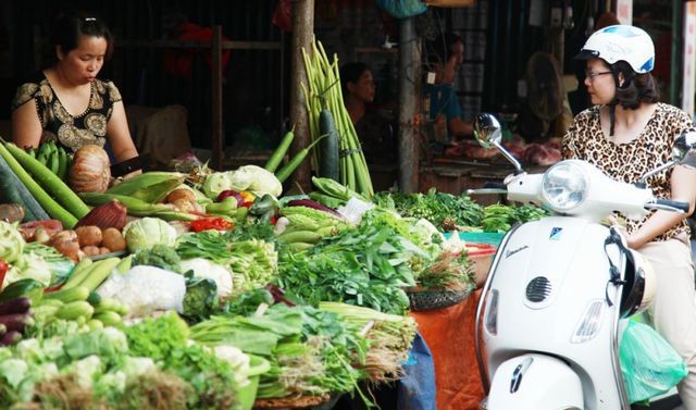 Sợ ăn phải thịt lợn trúng dịch tả, dân Việt đổ xô sang rau, đậu phụ - ảnh 1
