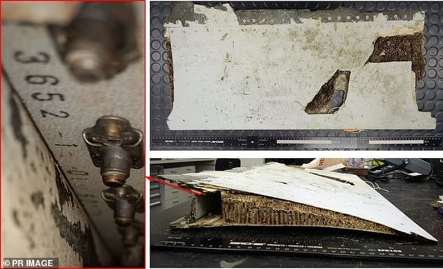 Tình tiết mới về chuyến bay mất tích bí hiểm MH370 - ảnh 1