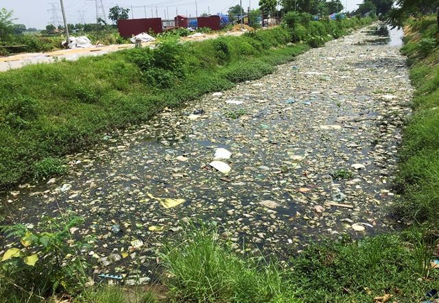 Kênh ngập rác thải biến thành đường hoa ở Hà Nội - ảnh 1